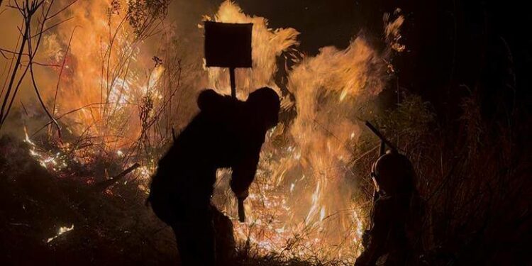 🔥 Controlado y liquidado incendio forestal en Los Teques, confirma ministro Freddy Ñáñez